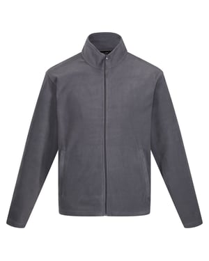 Regatta - Veste polaire CLASSIC - Homme (Gris)