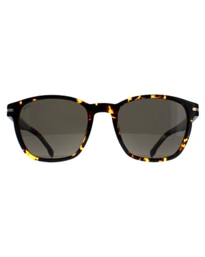 Hugo Boss Square Herren Havanna Dunkelgrau BOSS 1505/S