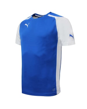 Puma Speed Jersey Training Fitnessstudio Sport T -Shirt Blue - Herren
