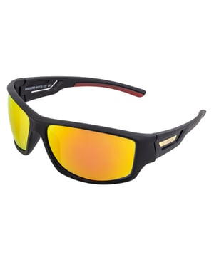 Lunettes de soleil polarisées Breed Aquarius
