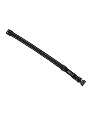 Regatta Stripe Hundehalsband (Schwarz)