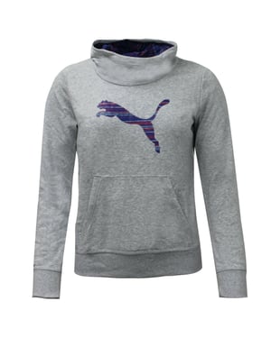 Puma Fun td Grey Junior -Kapuze -Schweiß