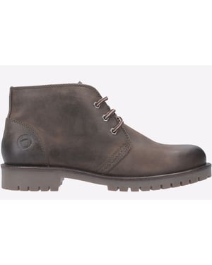 Cotswold Stroud Lace Up Schuh Stiefel Herren