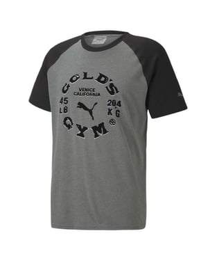 Puma x Gold's Gym Mens Grey Raglan T-Shirt