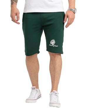 Rock Creek Shorts Grün