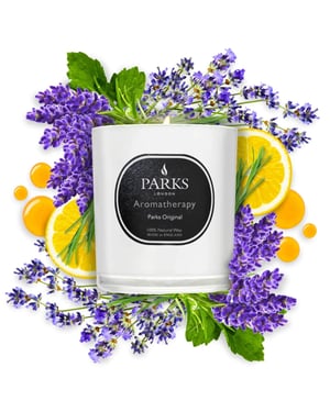 PARKS ORIGINAL KERZE 220G