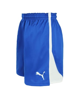 Puma V5.06 Handballshorts für Damen, Blau/Weiß
