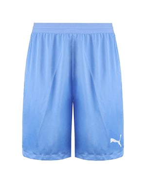 Puma Drycell Teamfinal 21 Stretch Taille Herren Hellblau Shorts 704257 18