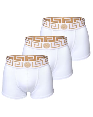 Versace Topeka Slip