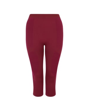 Dare 2B - "In The Zone II" 3/4 Leggings für Damen (Feige)