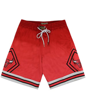 Mitchell & Ness Chicago Bulls Mens Red Shorts