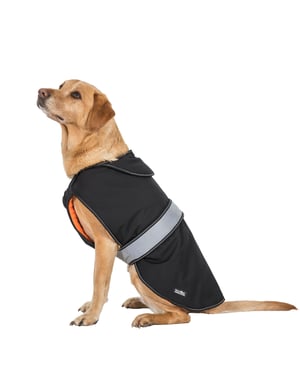 Trespass Butch Softshell-Hundejacke mit Klettverschluss (Schwarz)