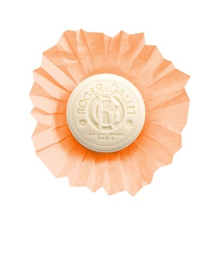 Œillet Mignardise Wellness-seife 100 gr