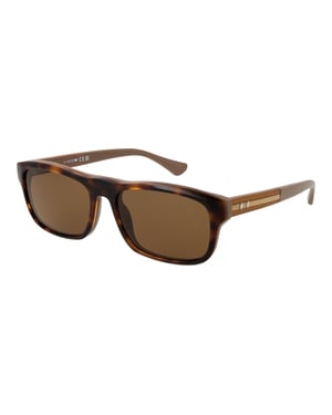Web Sonnenbrille WE0371 56J 58