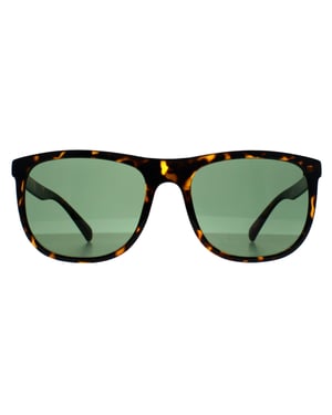 Calvin Klein CK22557S 240 glÃ¤nzende havannagrÃ¼ne Sonnenbrille