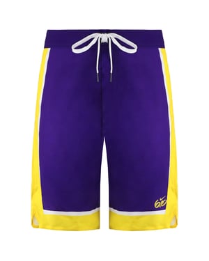 Nike 6.0 Logo Herren Lila Shorts
