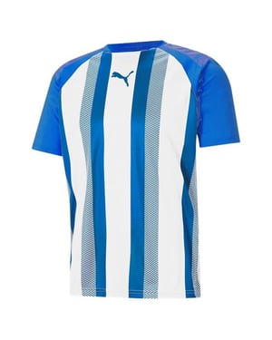 Puma TeamLiga gestreiftes Herren Fußballshirt Blau/Weiß