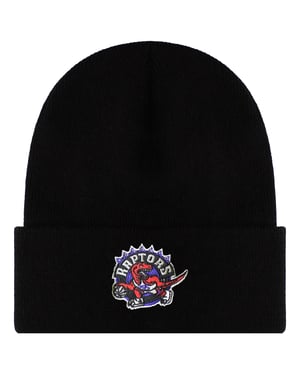 Mitchell & Ness NBA Toronto Raptors Teamlogo Mütze