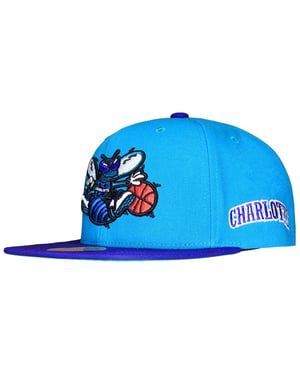 Mitchell & Ness NBA Charlotte Hornets Team Origins Cap