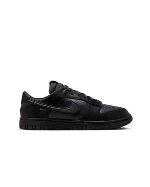 NIKE DUNK LOW GTX