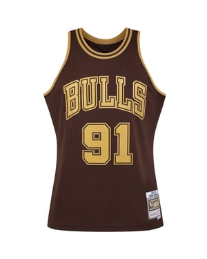 Mitchell & Ness NBA Chicago Bulls 91 Rodman Swingman Trikot