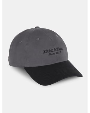 Dickies Mützen TWILL DAD HAT