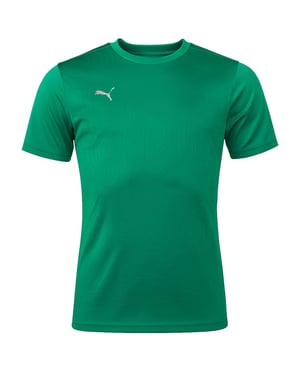 Puma teamFinal Herren Grünes Training T-Shirt