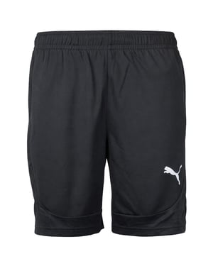 Puma teamFinal Herren Schwarze Trainingsshorts
