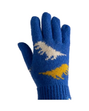 Trespass - Kinder Handschuhe "Casper" (Blau)