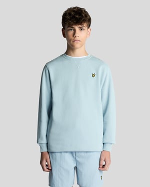 Baumwoll-Sweatshirt mit Rundhalsausschnitt
