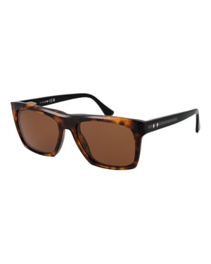 Web Sonnenbrille WE0350 55E 55