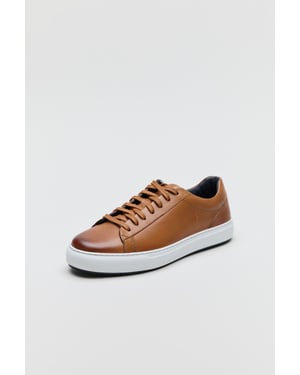 Ben Sherman Ace Cupsole Leder Herren Sneaker in Tan