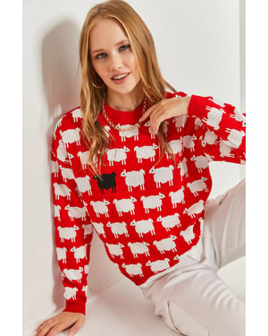 Musterpullover mit dickem Strick und Rundhalsausschnitt