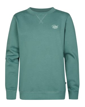 Petrol Industries - Bedruckter Rundhals-Pullover Ocotillo Jungen - Grün