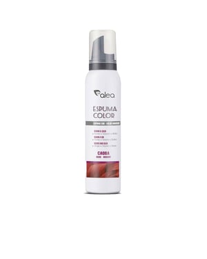Farbschaum #mahagoni 200 ml