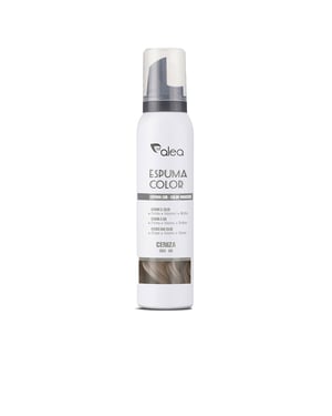 Farbschaum #asche 200 ml
