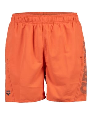 Arena - Boardshorts für Herren (Asphaltgrau)