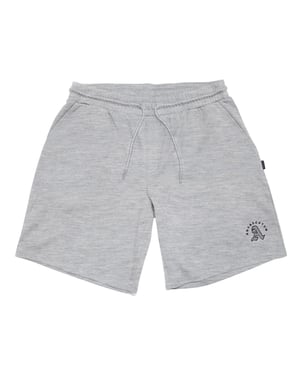 Aquascutum - Shorts für Herren (Grau)