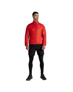Craghoppers - Thermo-Leggings für Herren (Schwarz)