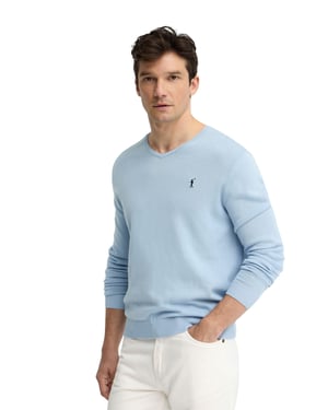 Pullover hellblau mit V-Kragen und Rigby Go Stickerei