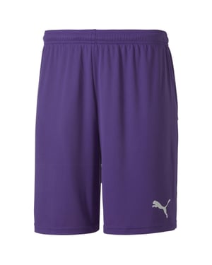 Puma teamGoal 23 Strick Herren Lila Shorts
