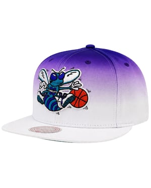 Mitchell & Ness NBA Charlotte Hornets Farbverlauf Weiß/Lila Cap
