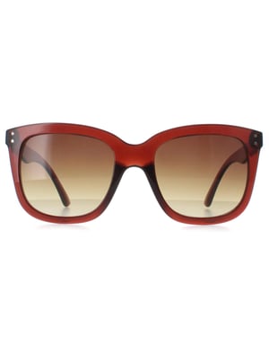 Calvin Klein CK22550S 210 transparente braune Sonnenbrille mit Farbverlauf