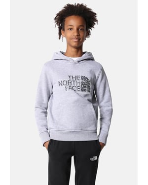 The North Face Kinder Drew Peak Overhead Hoodie in grau