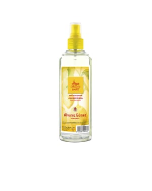 Ecology Water Original Frischwasserverdampfer 300 ml
