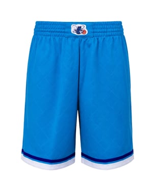Mitchell & Ness NBA Charlotte Hornets 75. Jubiläum Swingman Herren Teal Shorts