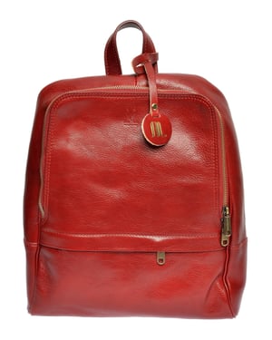 Anna Luchini Rot Rindsledertasche