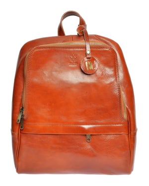 Anna Luchini Braun Rindsledertasche