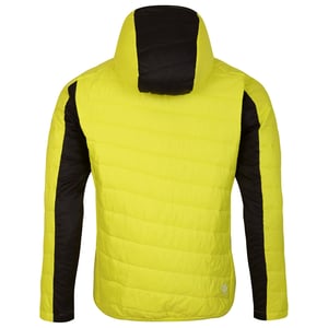 Dare 2B - "Touring" Steppjacke für Herren (Neon-Grün/Dunkler Sturm)