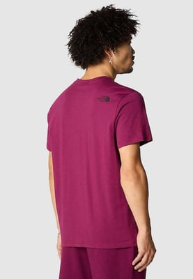 Die Nordwand Mens SS einfache Kuppel T Shirt Boysenbery